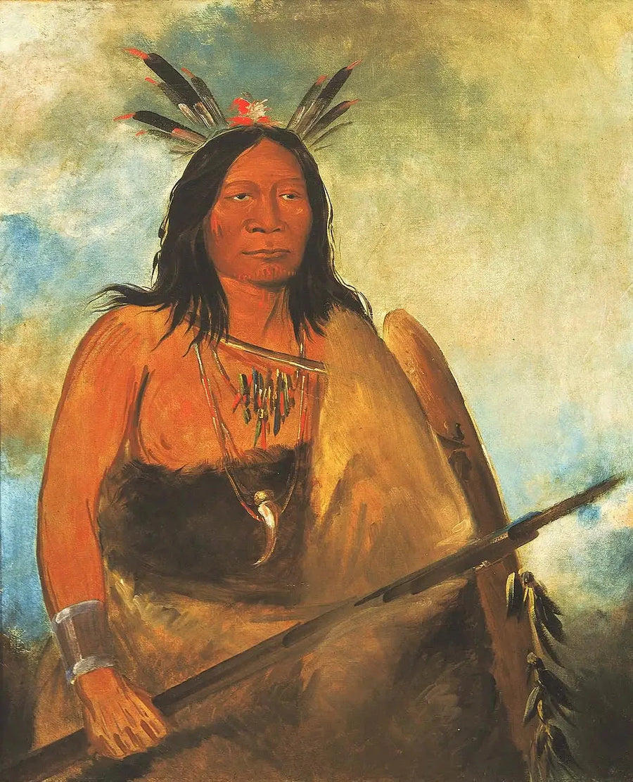 Kots-o-kó-ro-kó, Tyrkinds halsfjer, en chef - George Catlin