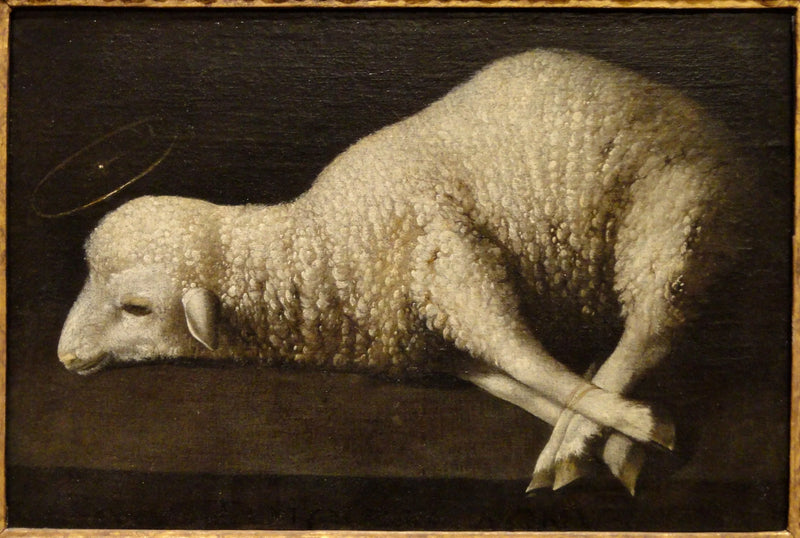 Guds Lam - Francisco de Zurbarán