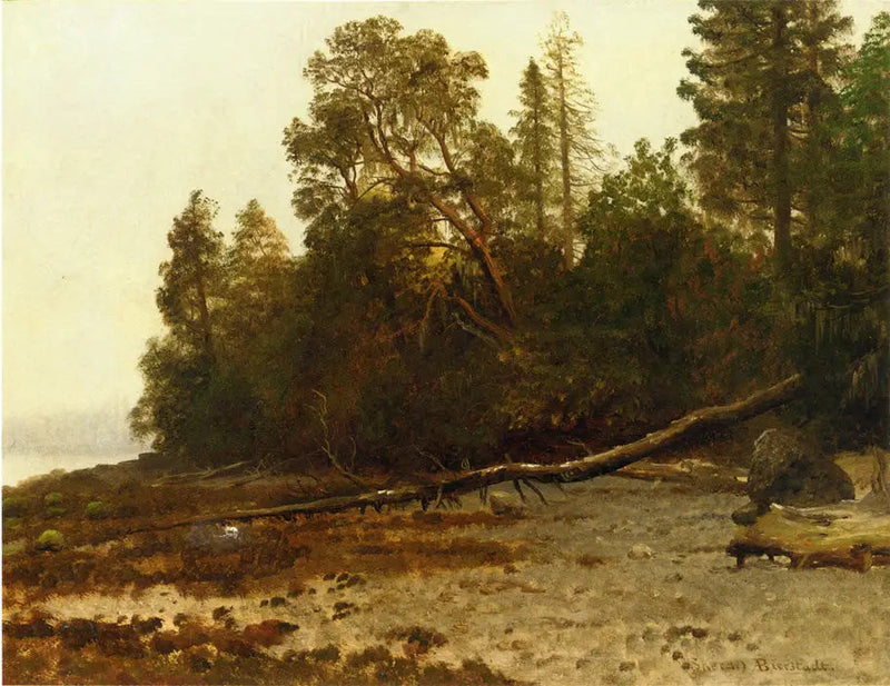 Det faldne træ - Albert Bierstadt