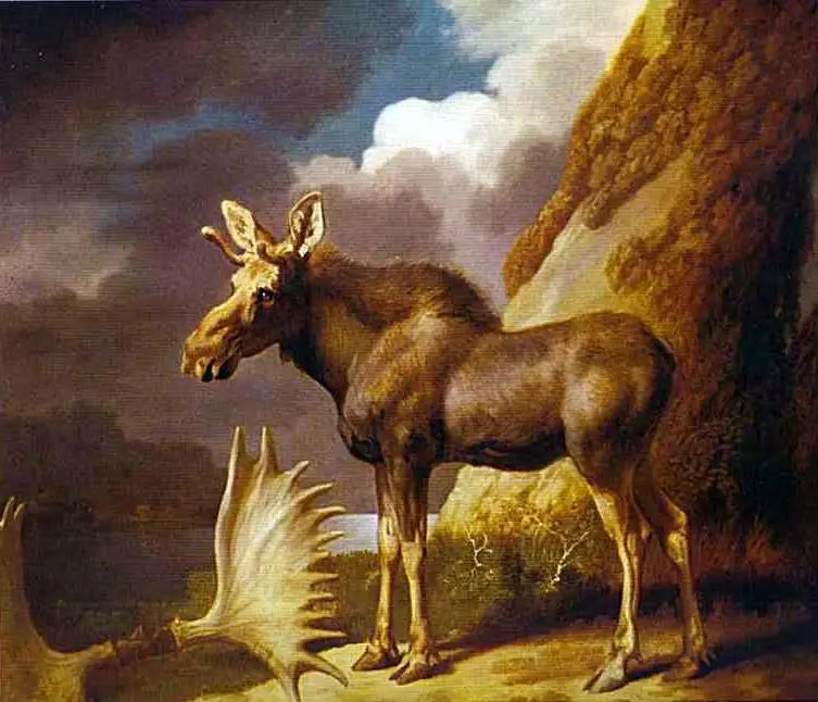 Elgen - George Stubbs