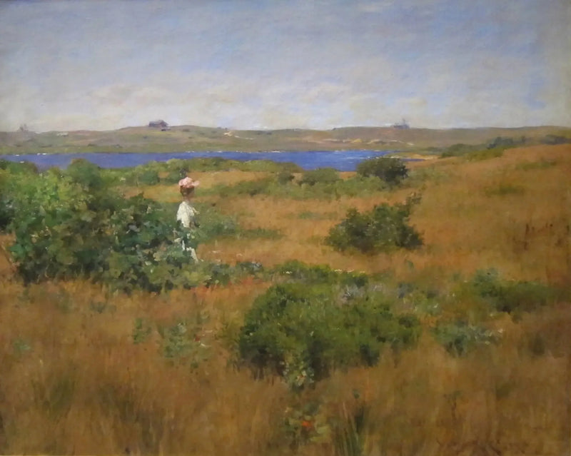 Sommer i Shinnecock Hills - William Merritt Chase