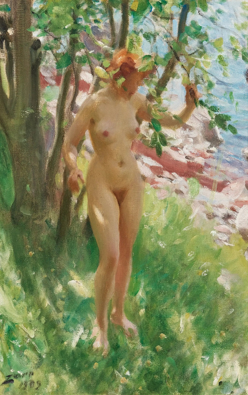 Skyggen - Anders Zorn