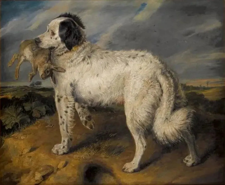 La Championne : Venus - Edwin Henry Landseer