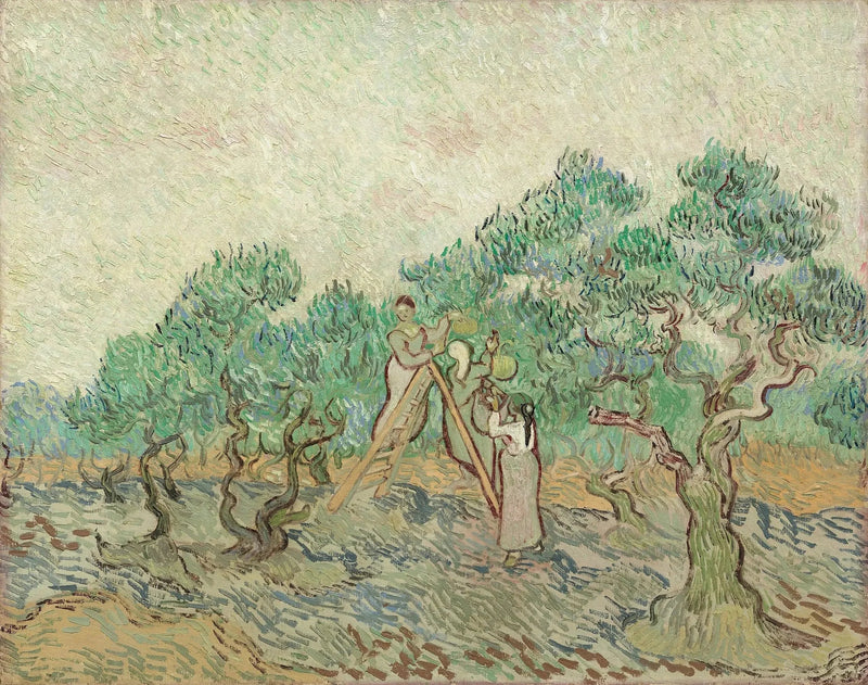 Olivenhøsten - Vincent van Gogh