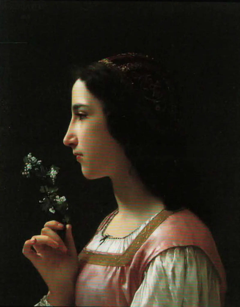 Hvidtjørnblomsten - Bouguereau