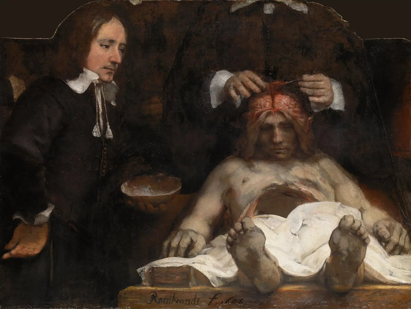 Læren om anatomi af Dr. Joan Deyman - Rembrandt