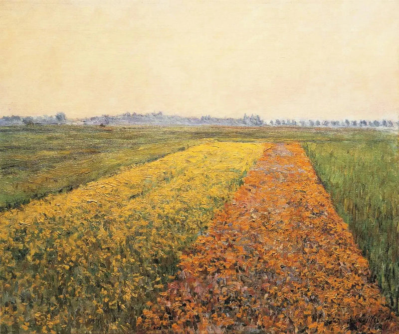 Gennevilliers-sletten, Gul mark - Gustave Caillebotte