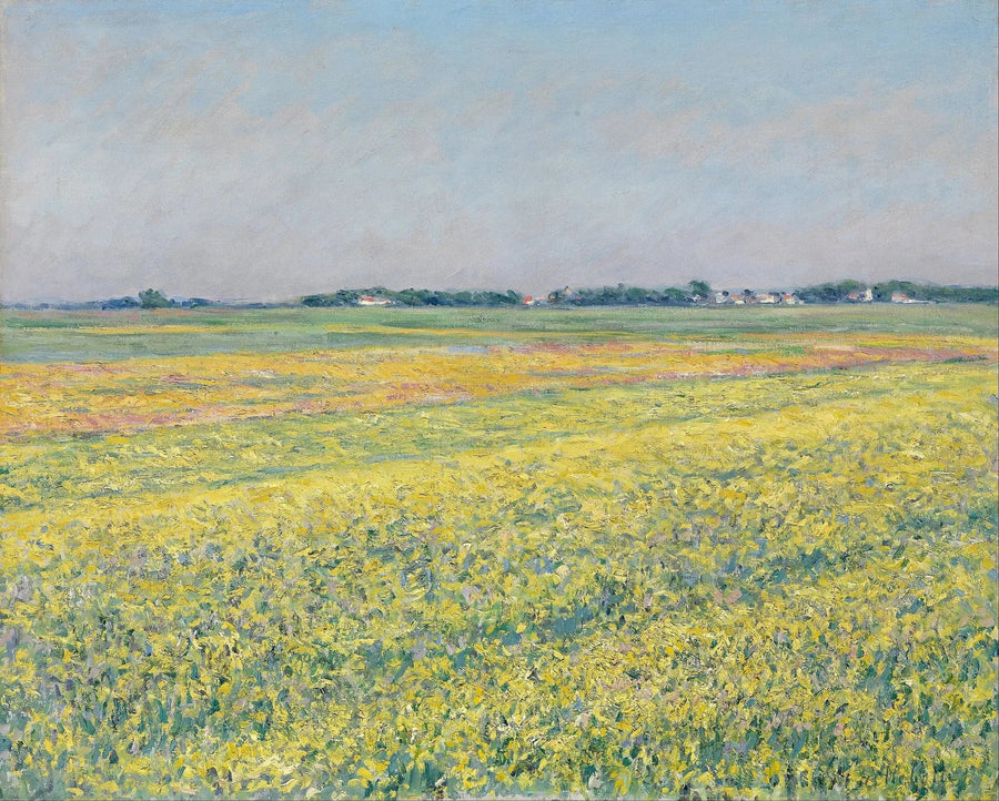 Gennevilliers-sletten, gule marker - Gustave Caillebotte