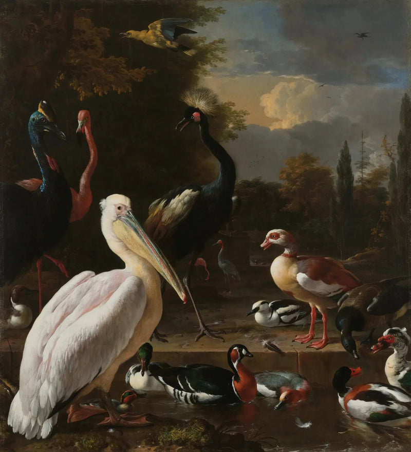 Den flydende fjer - Melchior de Hondecoeter