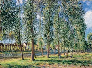 Rækken af popler i Moret - Alfred Sisley