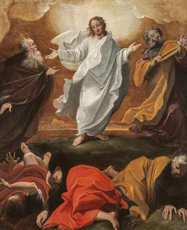 Transfigurationen - Ludovico Carracci