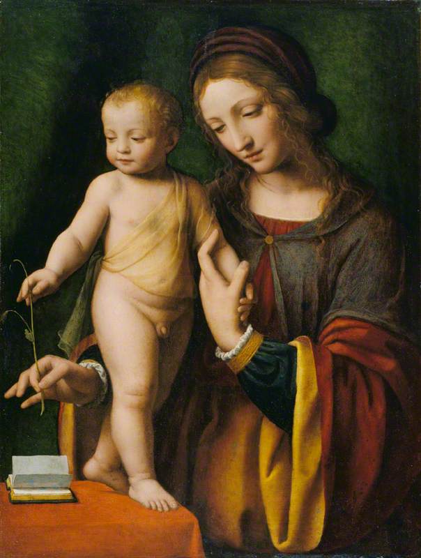 Jomfruen med barnet med en anemone - Bernardino Luini