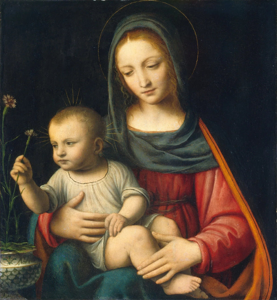 Jomfruen med nellike - Bernardino Luini