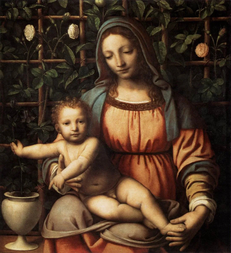 Jomfruen ved rosenhaven - Bernardino Luini