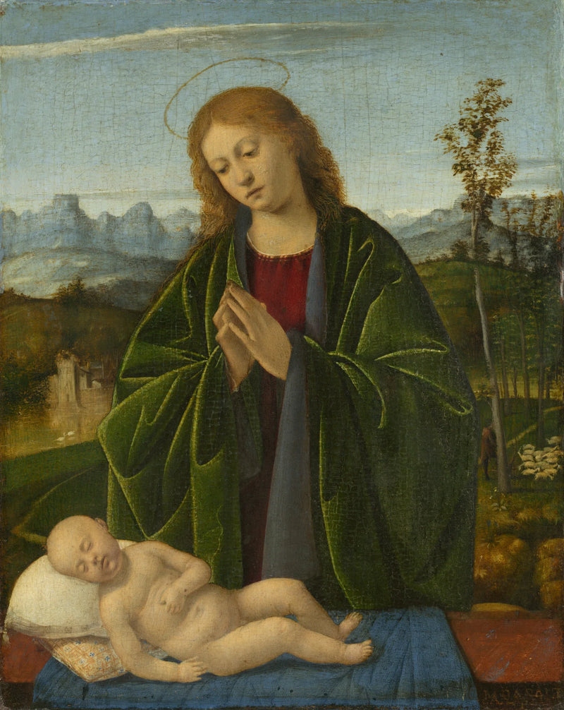 Jomfru Maria, der tilbeder det lille barn - Marco Basaiti