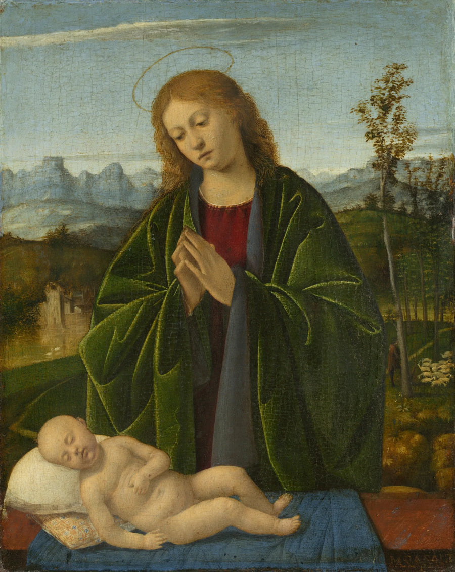 Jomfru Maria, der tilbeder det lille barn - Marco Basaiti