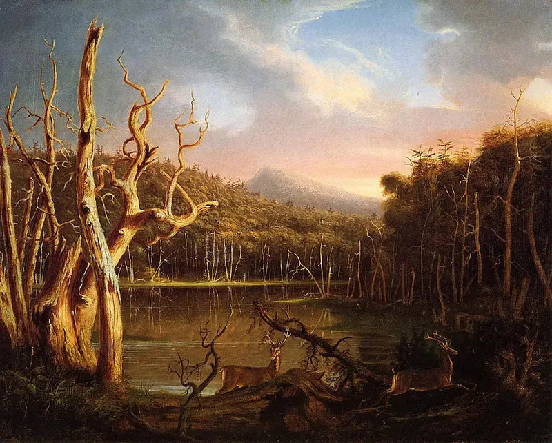 Dødtræersøen - Thomas Cole