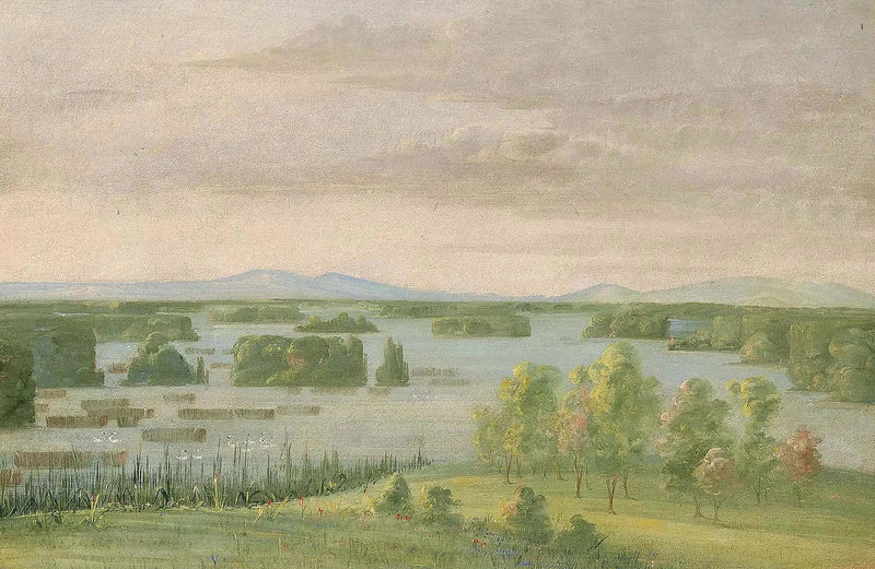 Svanesøen (Svanesøerne), Nær Coteau des Prairies - George Catlin