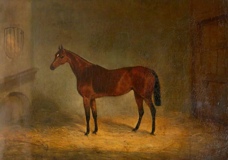 « Lady Liverpool », en brun hest i en stald - John Frederick Herring, Sr.