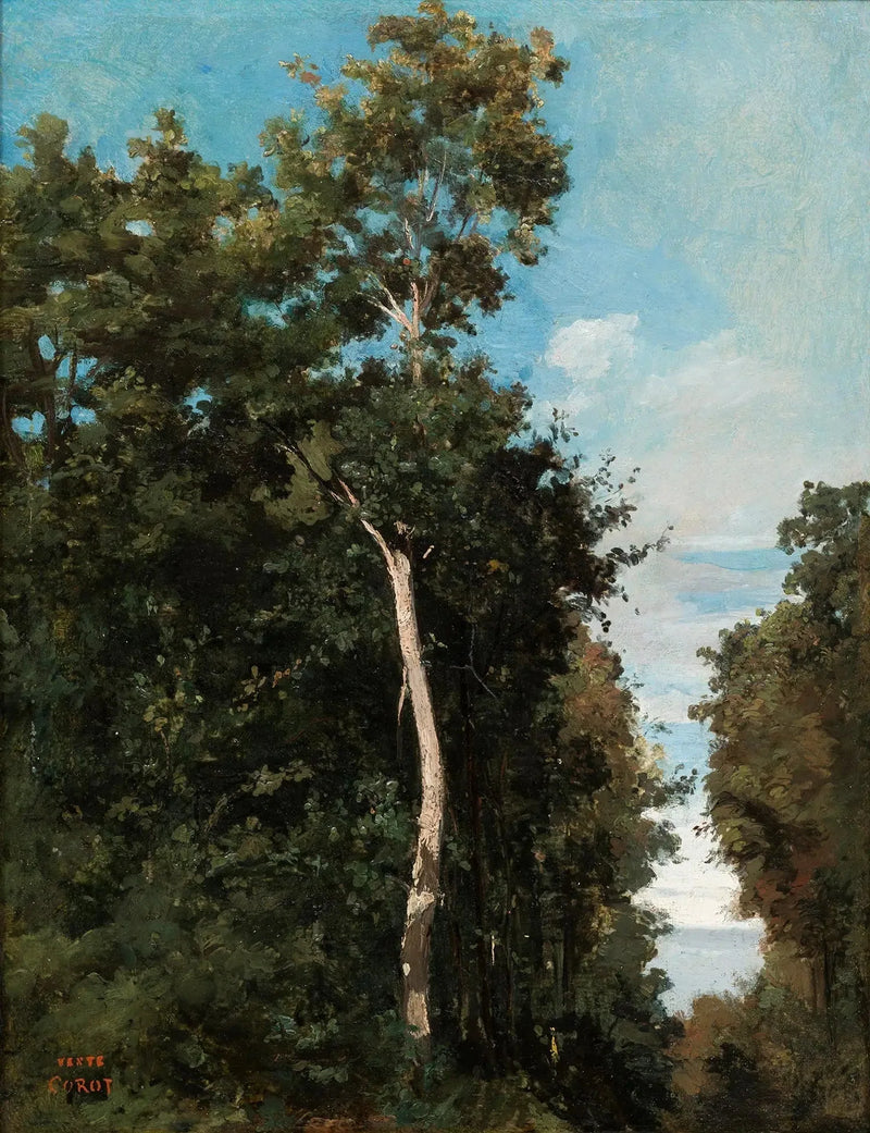 Træet på kysten af Grace i Honfleur - Jean-Baptiste Camille Corot