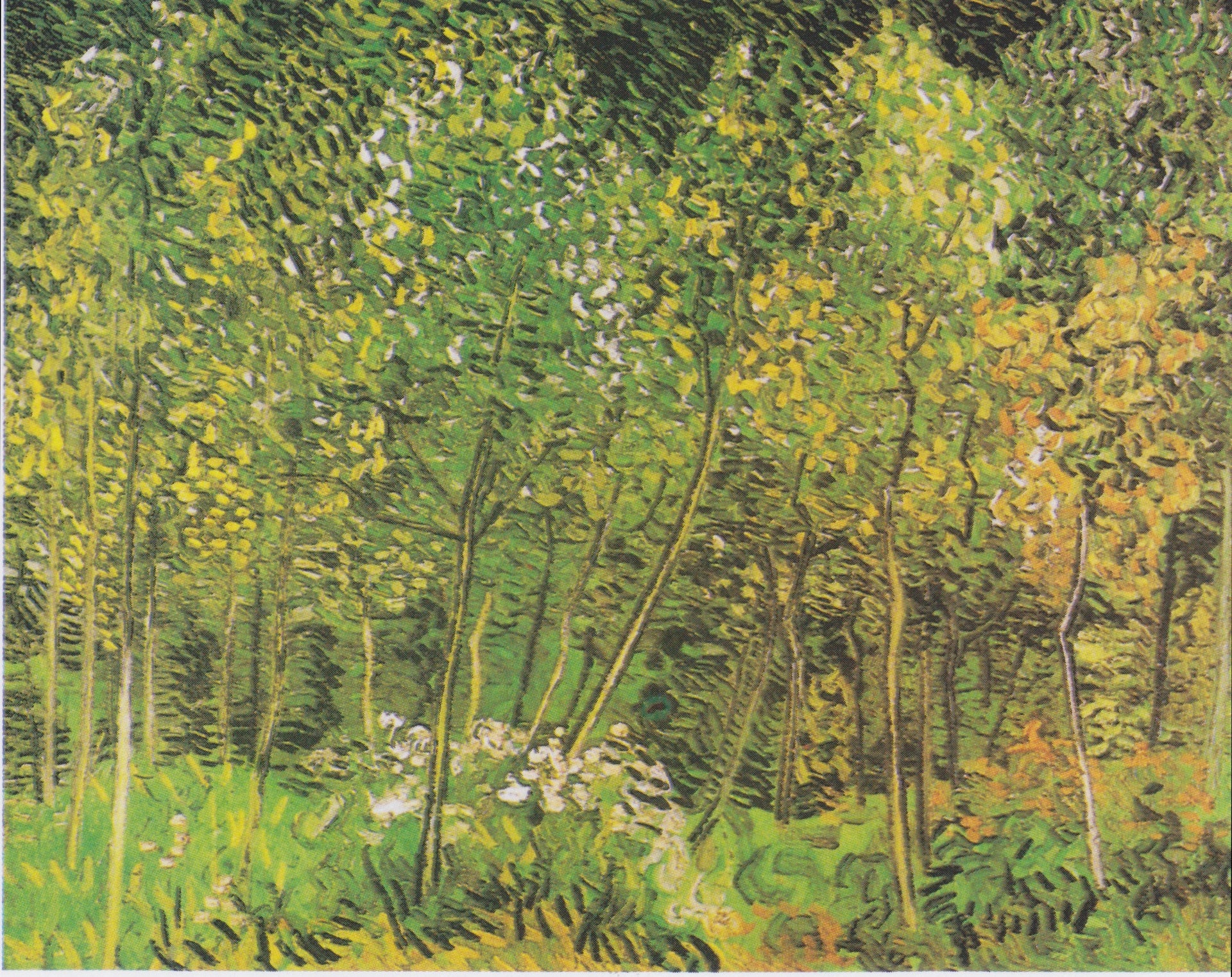 Le Bosquet de Vincent van Gogh, juillet 1890, F817