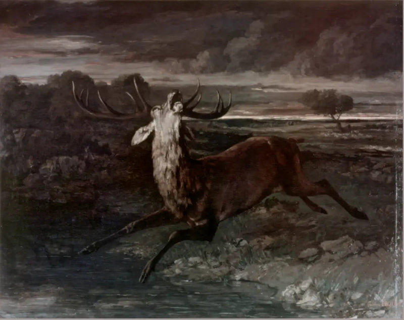 Elgen ved vandet - Gustave Courbet