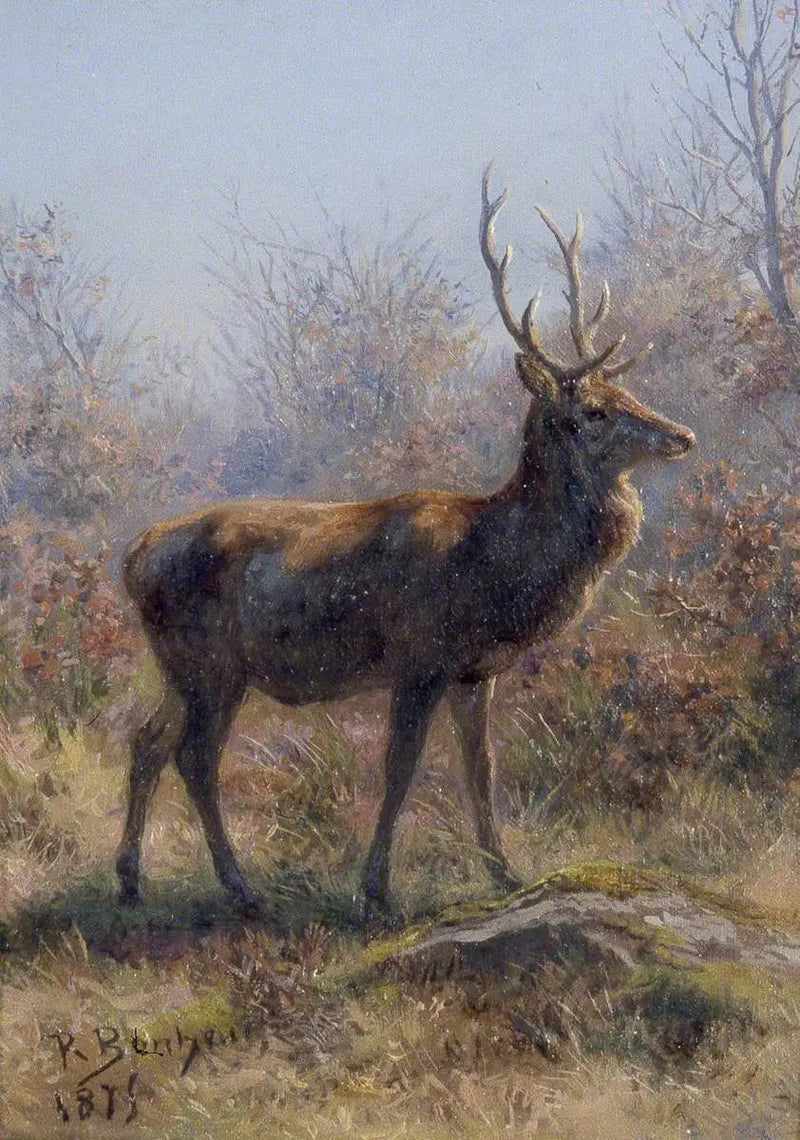 Rådyr - Rosa Bonheur