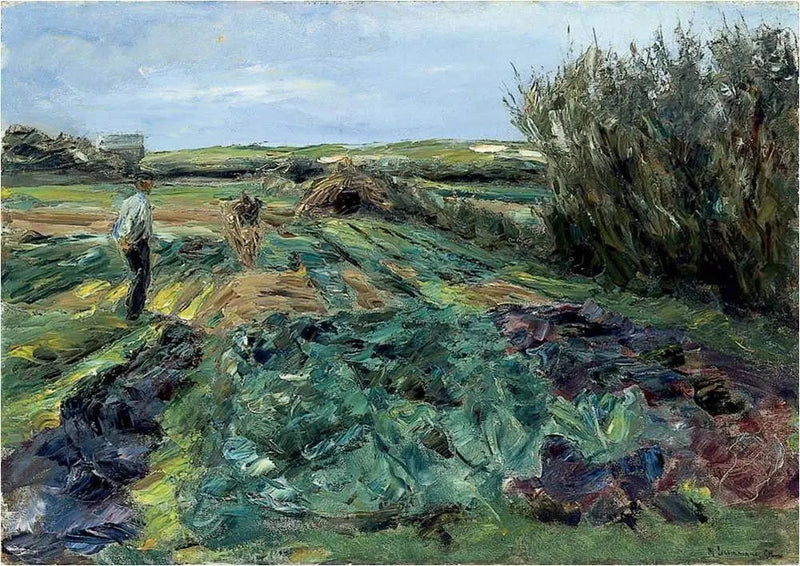 Kålmarken (kålmarken i Noordwijk) - Max Liebermann