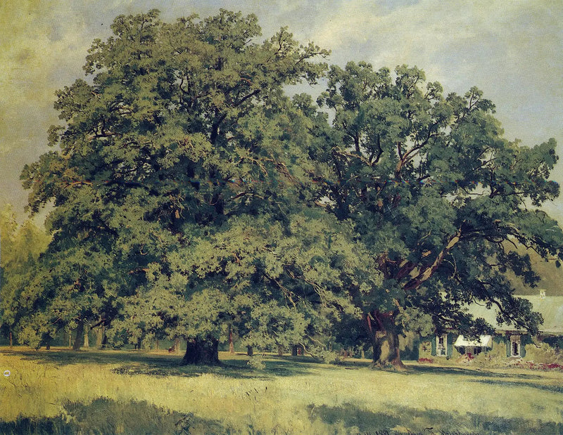Mordvinovo eg - Ivan Chichkine