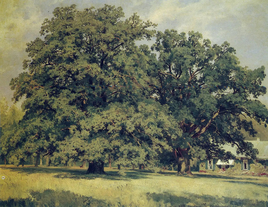 Mordvinovo eg - Ivan Chichkine
