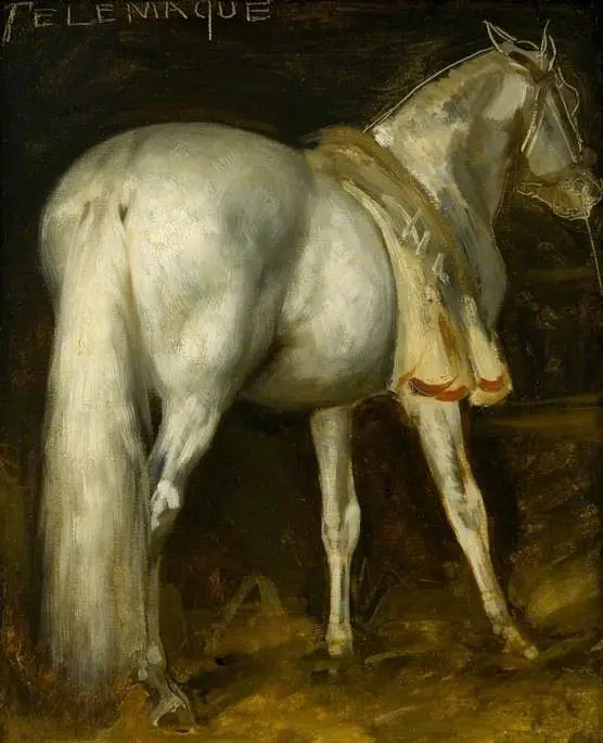 Den grå hest « Télémaque » - Théodore Géricault