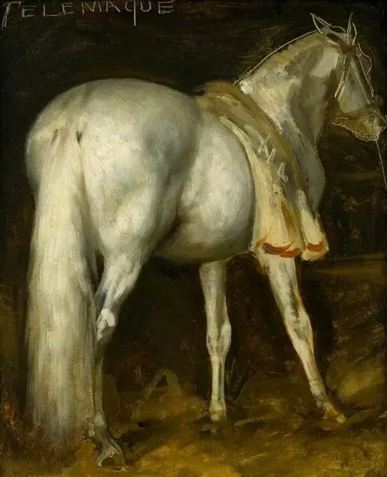 Den grå hest « Télémaque » - Théodore Géricault