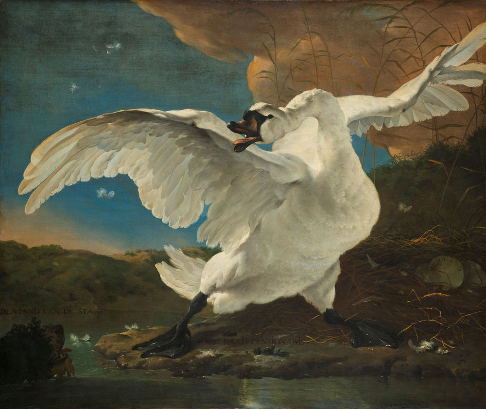 Le Cygne menacé - Jan Asselyn