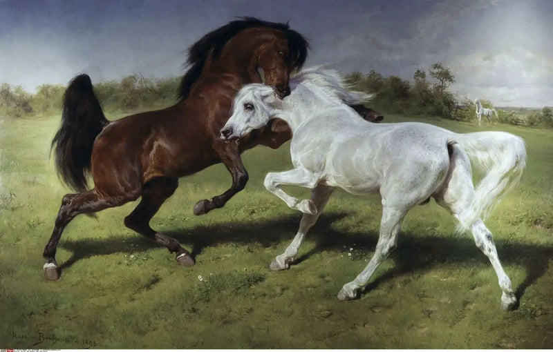 Duel - Rosa Bonheur