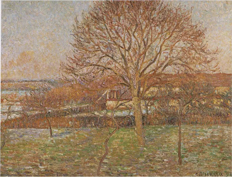 Den Store Valnød, hvid gele, Éragny - Camille Pissarro