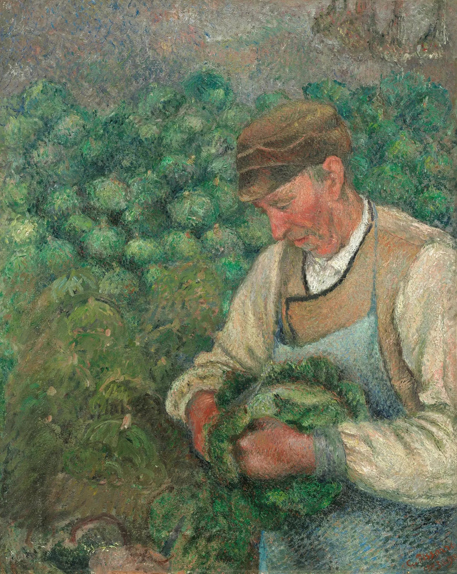 Gartneren - Gamle Landmand med Kål - Camille Pissarro