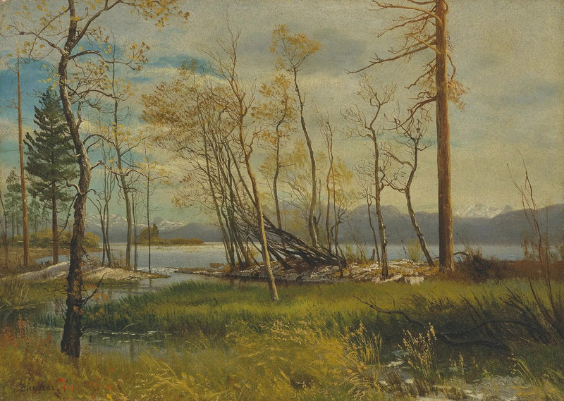 Tahoe Sø - Albert Bierstadt