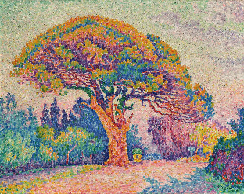 Bertauds Pin - Paul Signac