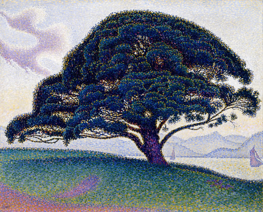 Bonaventures fyrretræ - Paul Signac