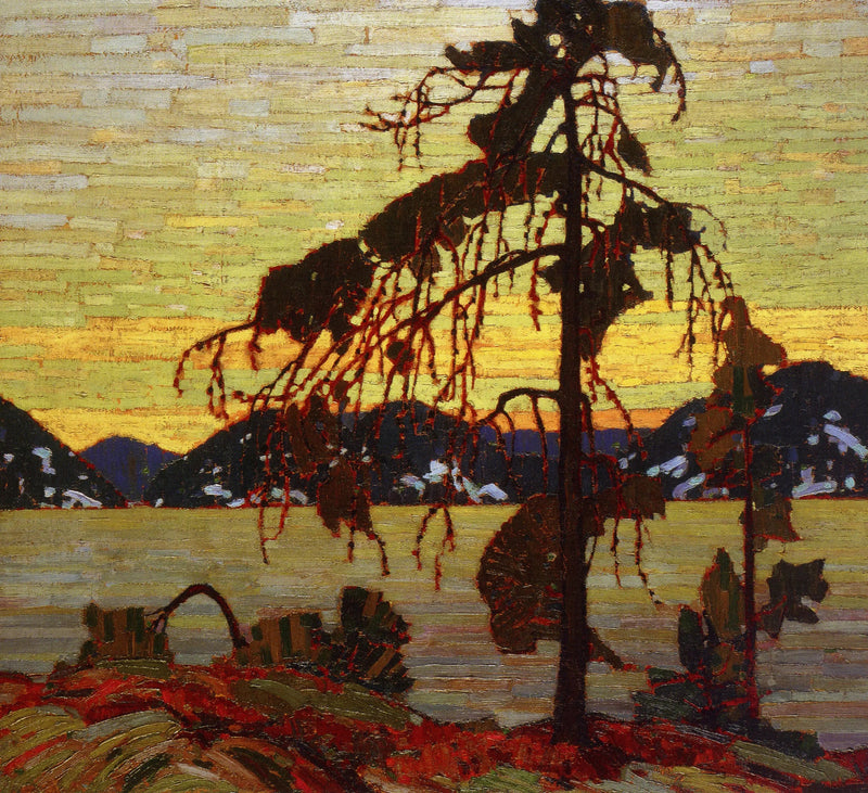 Den grå nål - Tom Thomson