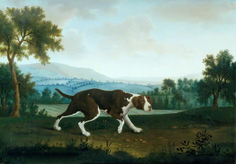 Den spanske pegepind - George Stubbs