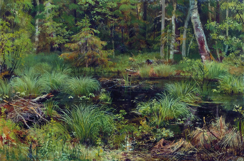 Foråret i skoven - Ivan Chichkine