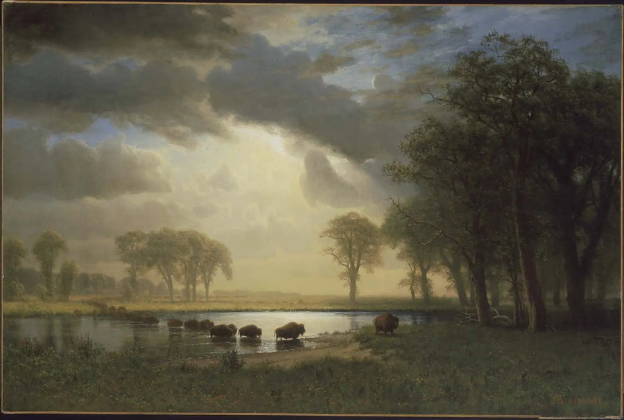 Bisonstien - Albert Bierstadt