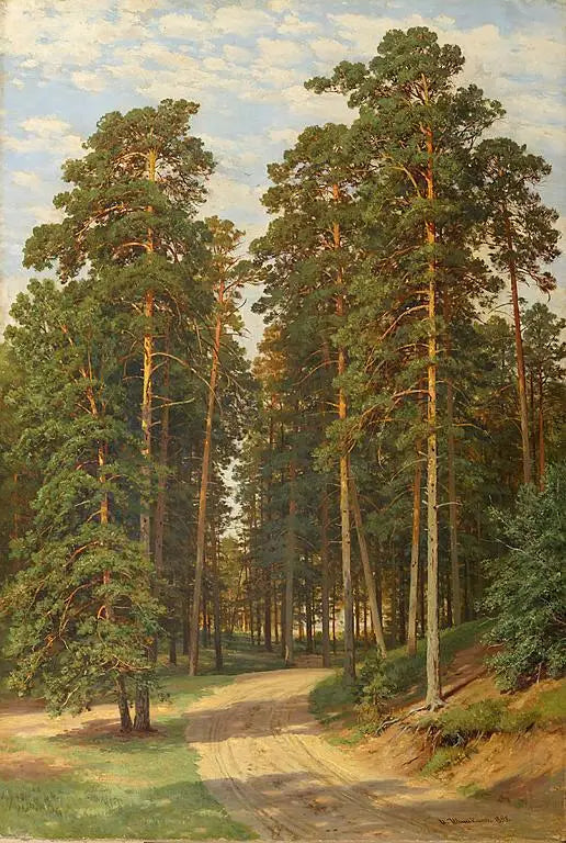 Solen i skoven - Ivan Chichkine