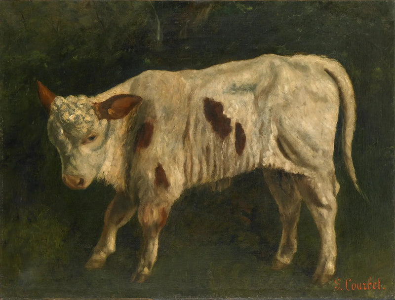 Den hvide kalv - Gustave Courbet