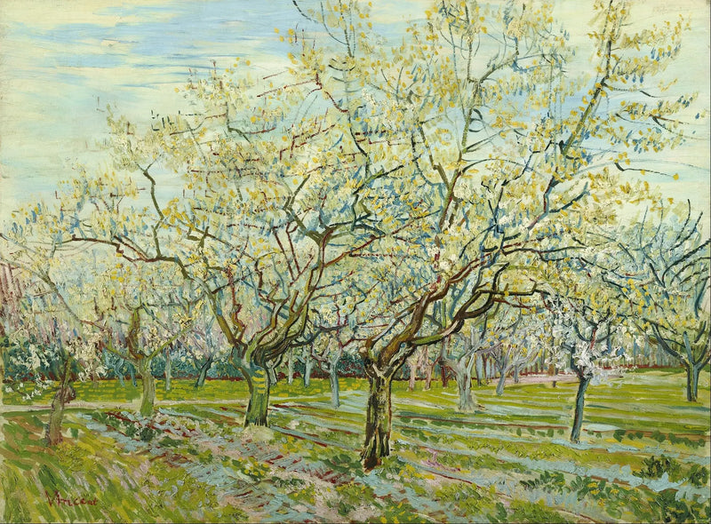 Den hvide frugthave - Vincent van Gogh