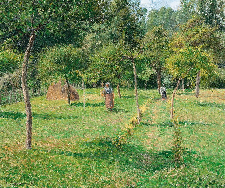 Frugthaven i Éragny - Camille Pissarro