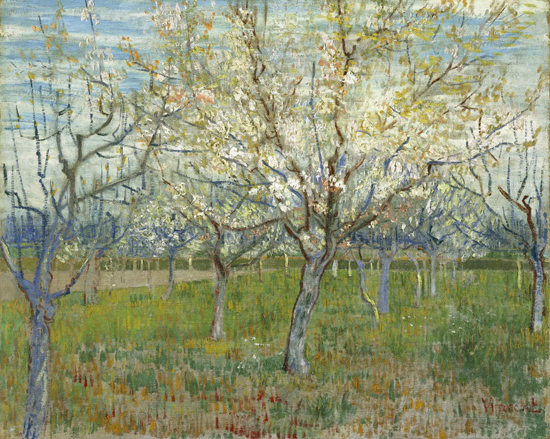 Den rosa frugthave - Vincent van Gogh