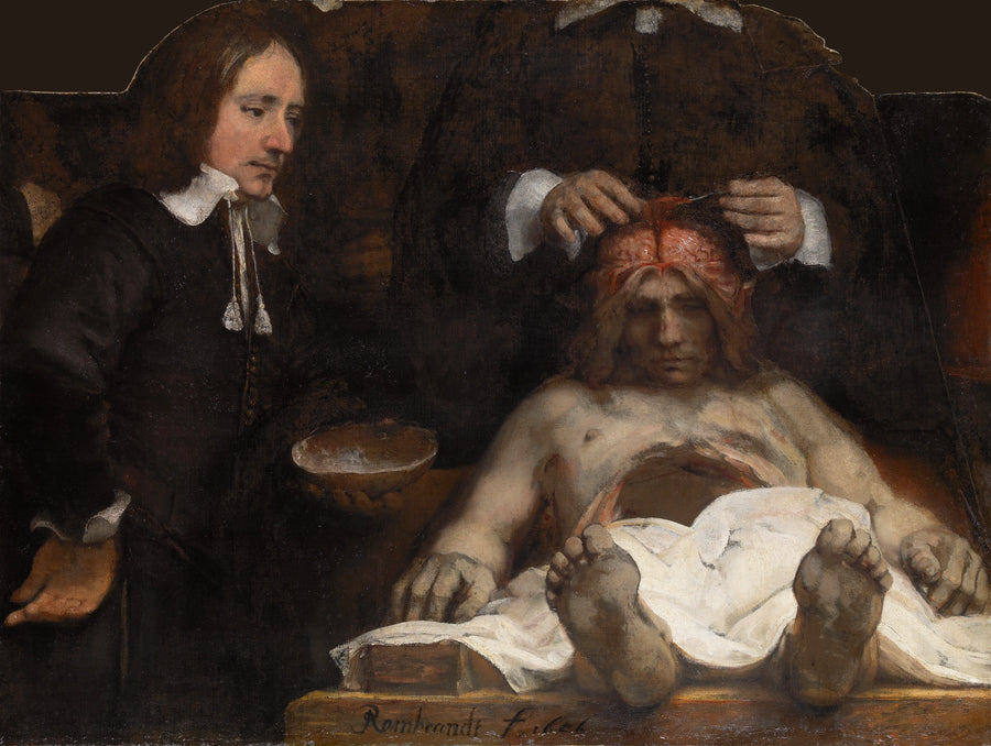 Læren om anatomi af Dr. Joan Deyman - Rembrandt