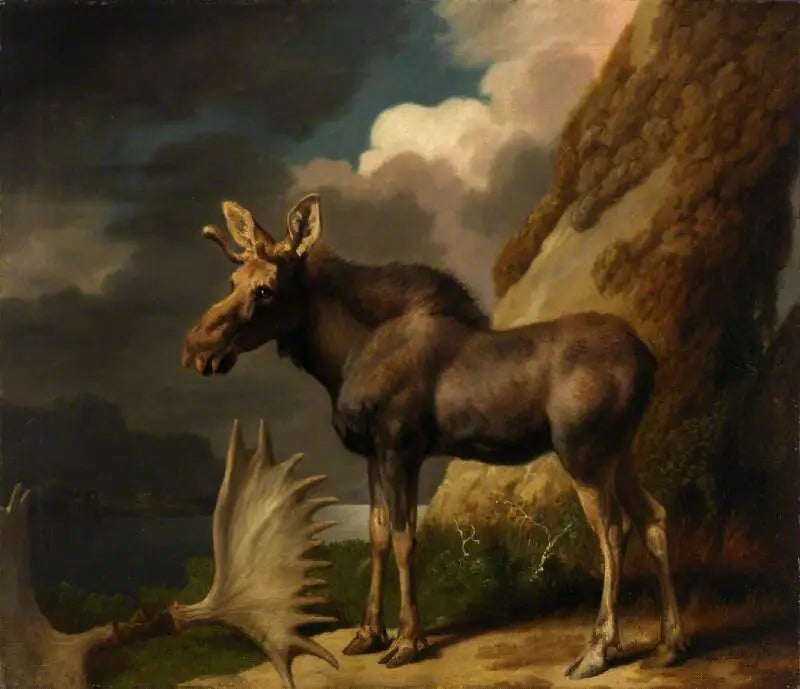 L’élan - George Stubbs - Alpha Reproduction